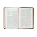 NLT Compact Bible: Aurora Theme