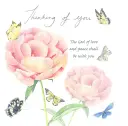 Peonies Sympathy Single Card