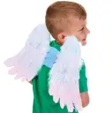 Design Your Own Angel Wings (Pack of 3)