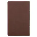 Brown and Berry Pink Faux Leather Giant Print Standard-size King James Version Bible with Thumb Index