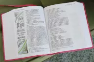 NIV, Beautiful Word Bible, Large Print, Imitation Leather, Pink: 500 Full-Color Illustrated Verses