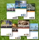 Pilgrim: A Course for the Christian Journey - bundle