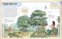 Dorling Kindersley: Bible Characters Visual Encyclopedia