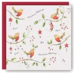 Five Robins (Pack of 5) Christmas Cards