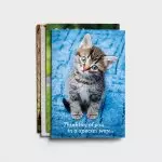 Get Well - Whiskers & Paws - 12 Boxed Cards