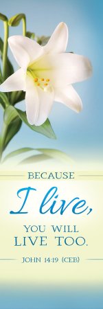 Bookmark (Pack Of 25) -Because I Live/Easter Lilys (John 14:19)