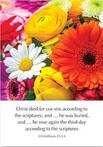 Greetings Cards: 'Christ died for…' 1Co. 15.3-4