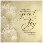 News of Great Joy Luxury Christmas Card (pack of 10)