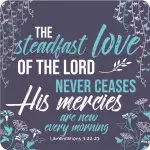 Steadfast love coaster