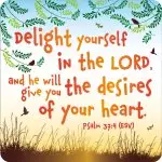 Take delight in the Lord, and he will five you the desires of your heart'  coaster