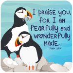 Fearfully and Wonderfully Made Coaster