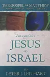 The Gospel of Matthew Through New Eyes Volume One: Jesus as Israel