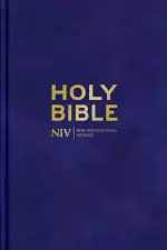 NIV Larger Print Personal Velvet Bible