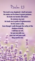 Prayer Card (pack of 20) - Psalm 23