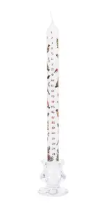 29.5cm Advent Candle: Winter Birds - Single