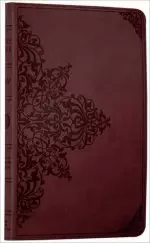 ESV Bible: Chestnut Imitation Leather, Anglicised