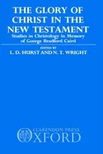 Glory Of Christ In The New Testament