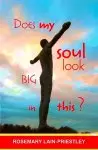 Does My Soul Look Big in This?