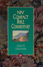 NIV Compact Bible Commentary