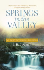 Springs in the Valley