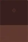 Amplified Study Bible, Imitation Leather, Brown