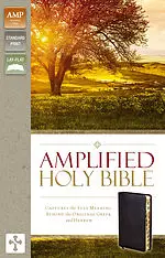 Amplified Thinline Holy Bible: Thumb Indexed, Silver Edges