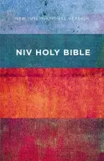 NIV, Value Outreach Bible, Paperback