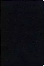 KJV, Amplified, Parallel Bible - Large Print, Bonded Leather, Black, Red Letter Edition