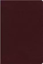 NIV, Thinline Reference Bible (Deep Study at a Portable Size), Bonded Leather, Burgundy, Red Letter, Thumb Indexed, Comfort Print