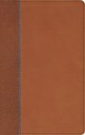 NIV, Quest Study Bible for Teens, Leathersoft, Brown, Comfort Print