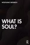 What Is Soul?