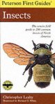 Insects : The Concise Field Guide To 200 Common Insects Of North America