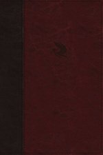 NKJV, Spirit-Filled Life Bible, Third Edition, Leathersoft, Burgundy, Red Letter, Comfort Print