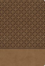 KJV Study Bible Imitation Leather Tan