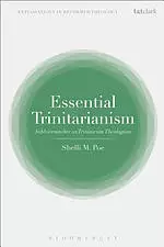 Essential Trinitarianism: Schleiermacher as Trinitarian Theologian