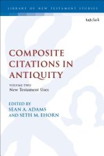 Composite Citations in Antiquity: Volume 2: New Testament Uses