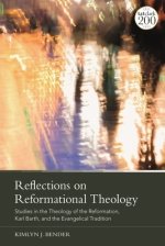 Reflections on Reformational Theology: Studies in the Theology of the Reformation, Karl Barth, and the Evangelical Tradition