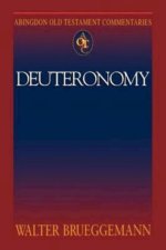 Deuteronomy : Abingdon Old Testament Commentary  