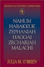 Nahum, Habakkuk, Zephaniah, Haggai, Zechariah, Malachi : Abingdon Old Testament Commentary