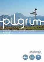 Pilgrim: The Bible - Pack of 6