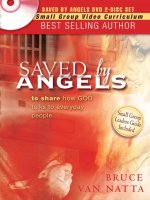 Saved By Angels 2DVD