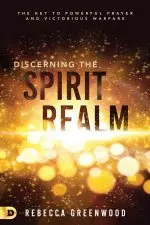 Discerning the Spirit Realm