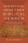 Exegetical Gems from Biblical Hebrew