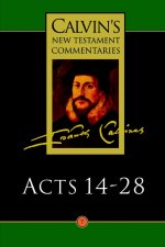 Acts 14 - 28  : Calvin's New Testament Commentary