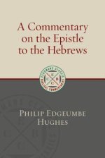 A Commentary on the Epistle to the Hebrews