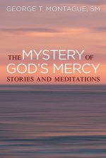 The Mystery of God's Mercy: Stories and Meditations