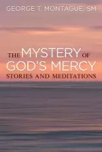 The Mystery of God's Mercy: Stories and Meditations