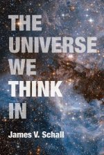 Universe We Think In