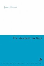 Aesthetic in Kant