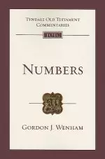 Numbers: An Introduction and Commentary Volume 4